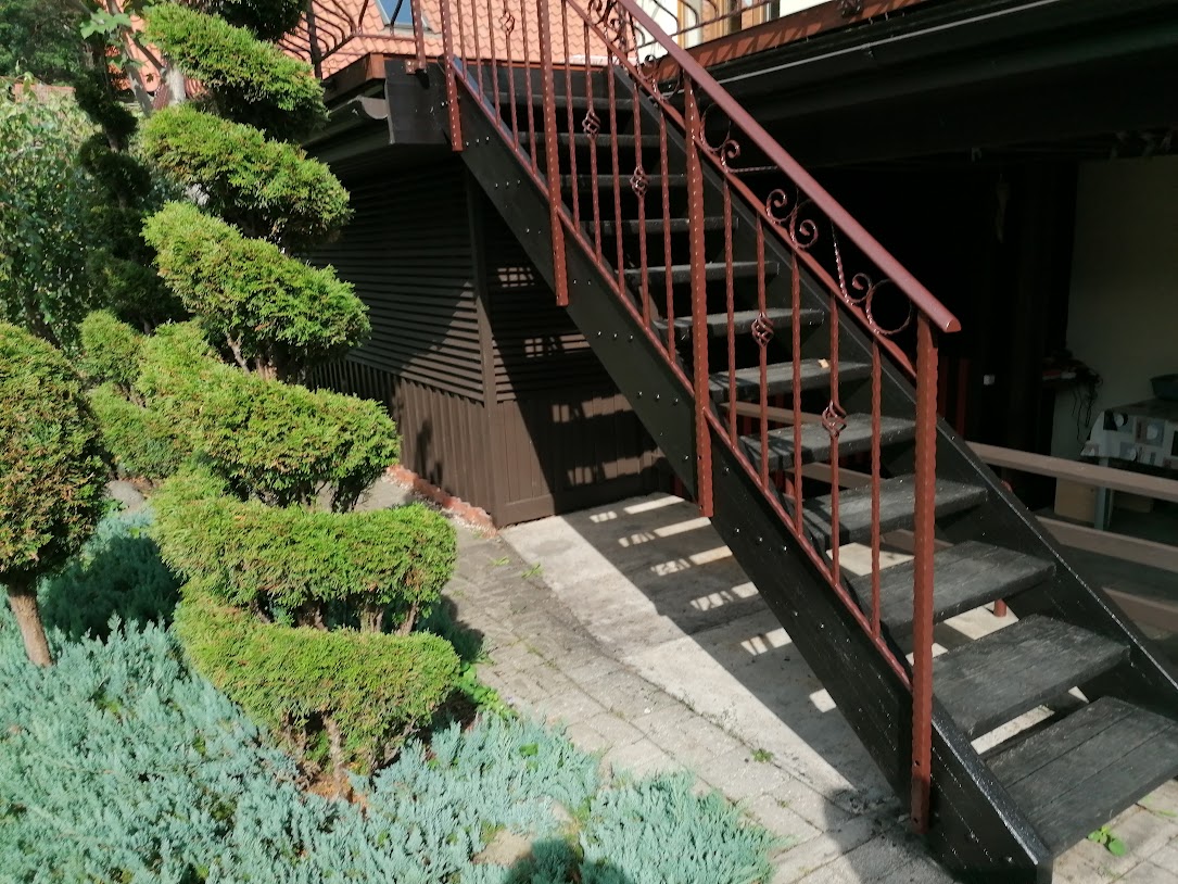 Dekorativas ara margas 2