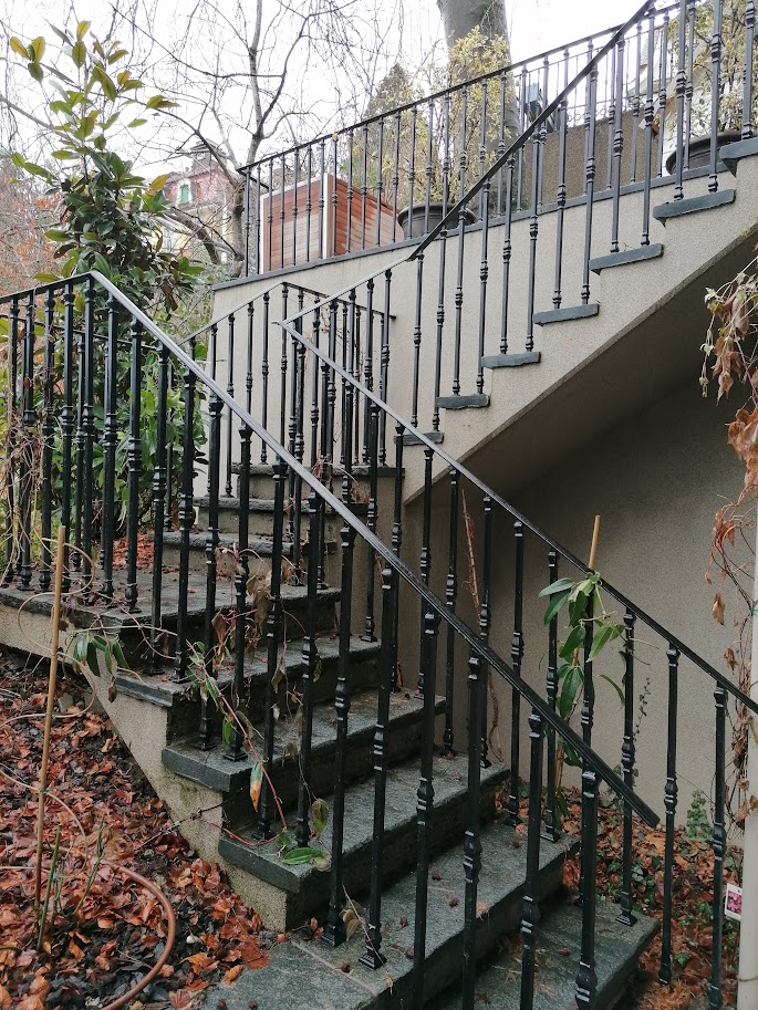 Dekorativas ara margas