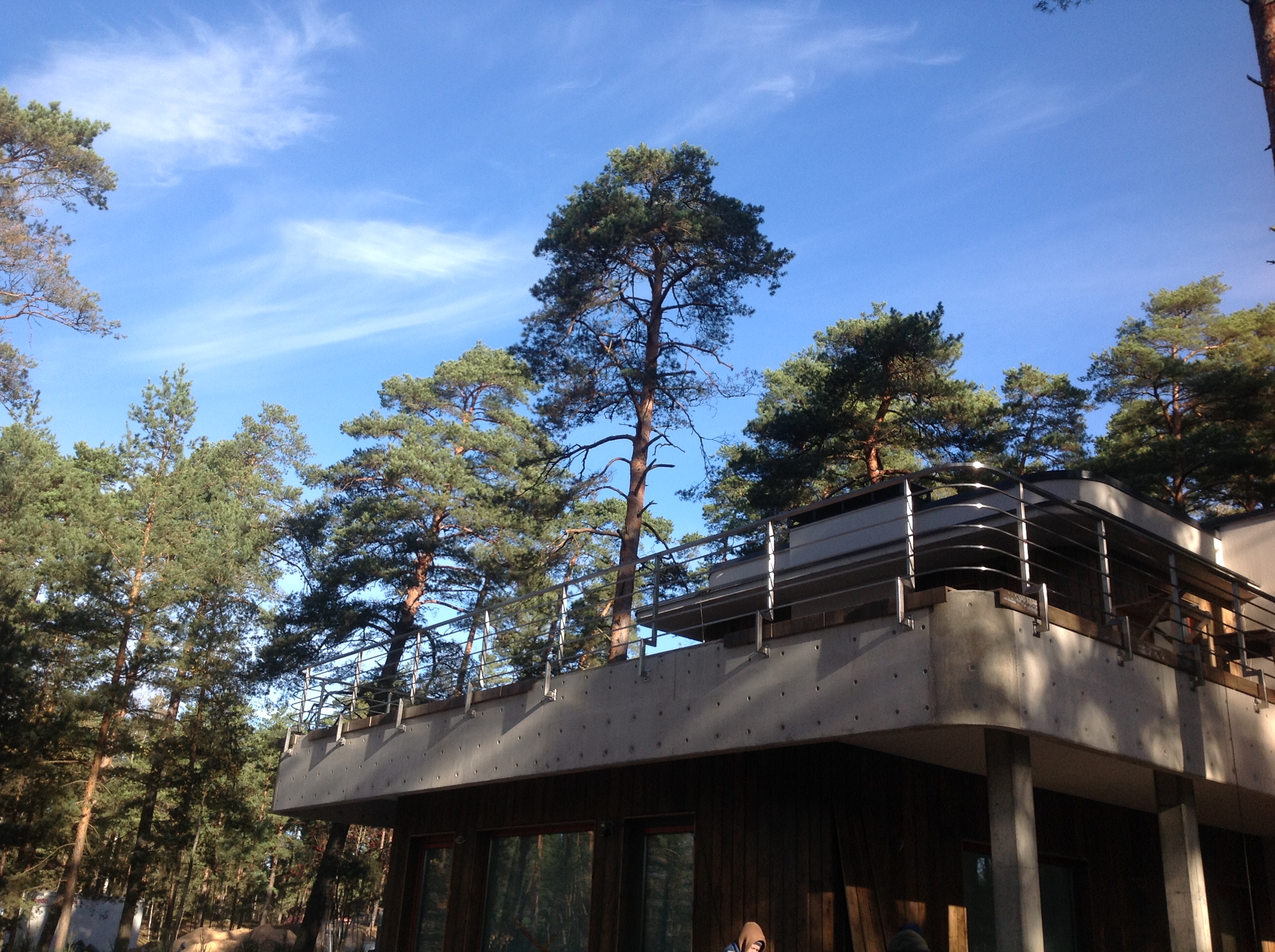 Nerusejosha terauda terases margas