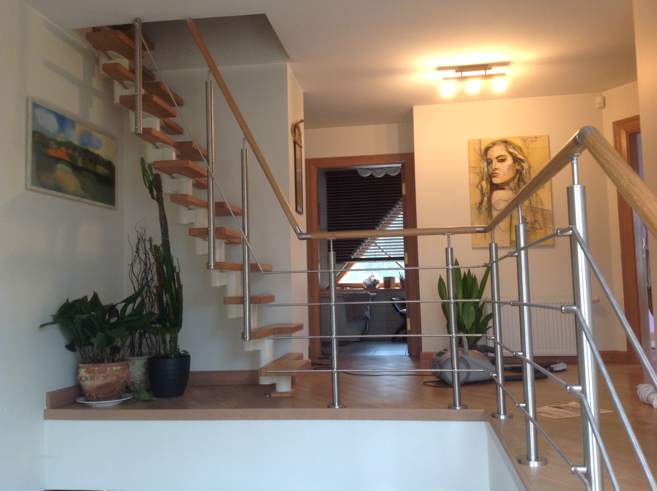 Nerusejosha terauda trepju margas 2